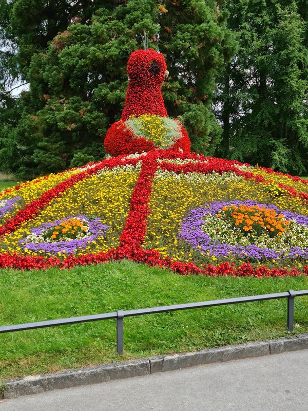 Ein Paradies aus Blumen und Schmetterlingen