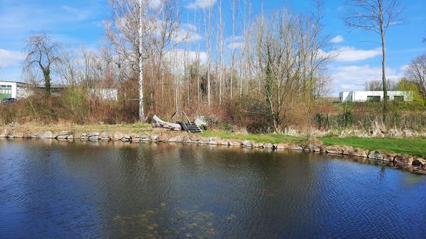 Idyllische Momente am Wasser, umgeben von purer Natur