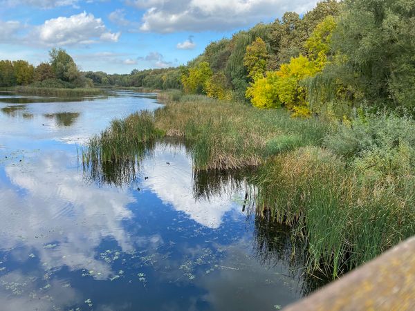 Natur pur am kleinen Balaton