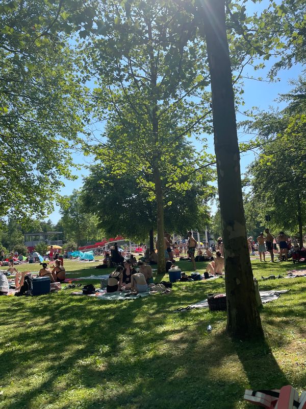 Sommerspaß für die ganze Familie im Freibad