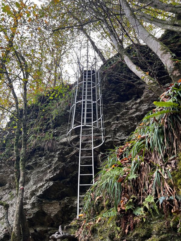 Natur pur auf dem Wanderweg