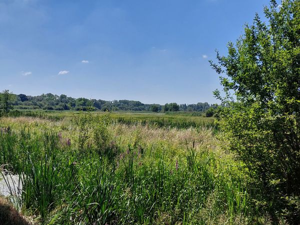 Natur pur am Stadtrand