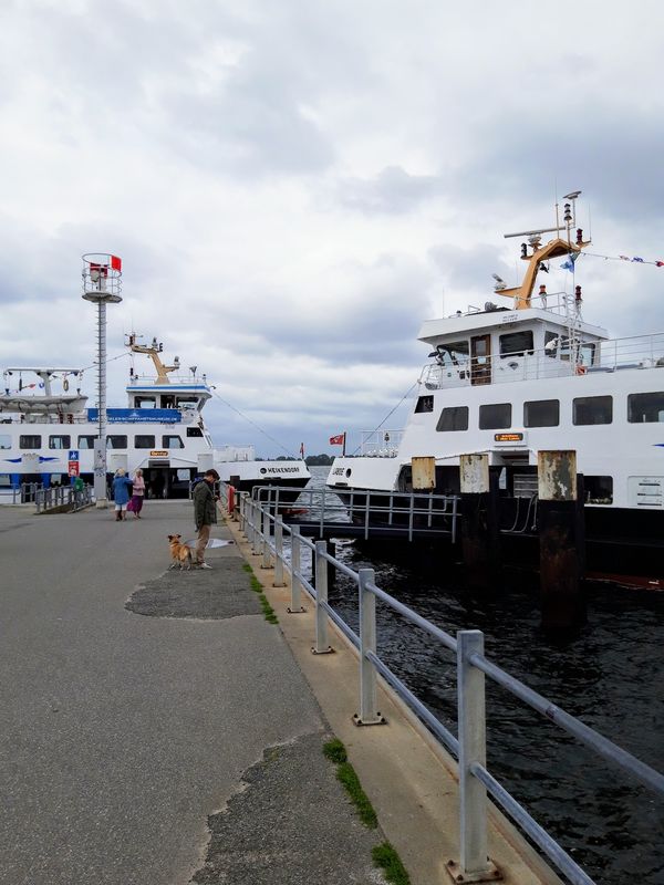 Entdecke Schiffe auf der Kieler Förde