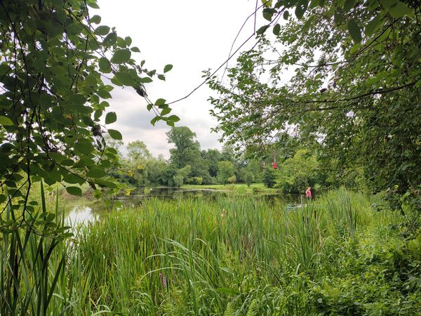 Abenteuer in den Baumwipfeln