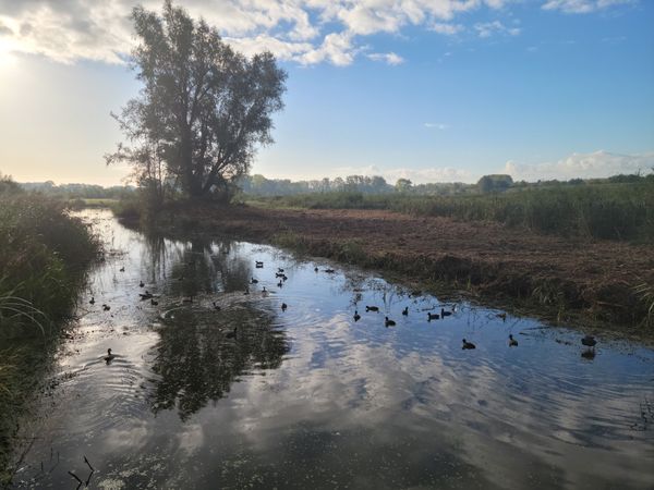 Natur pur am Stadtrand