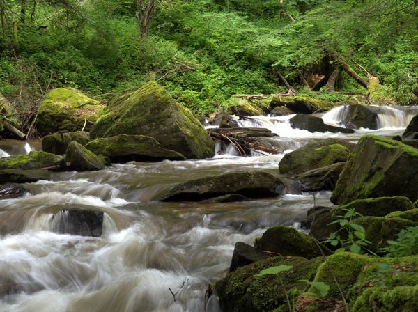 Erfrischende Wanderung entlang der Laßnitz