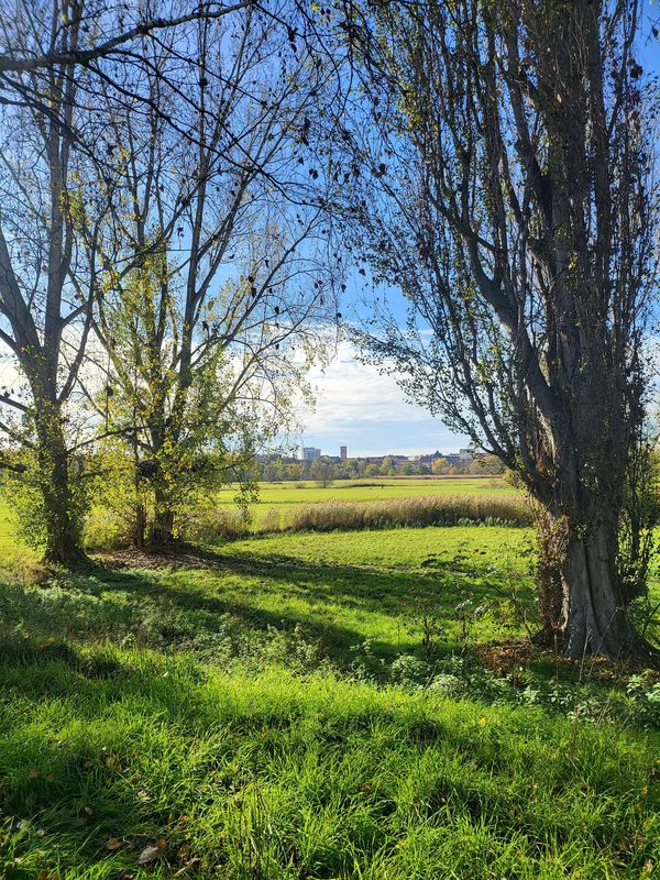 Natur pur am Stadtrand