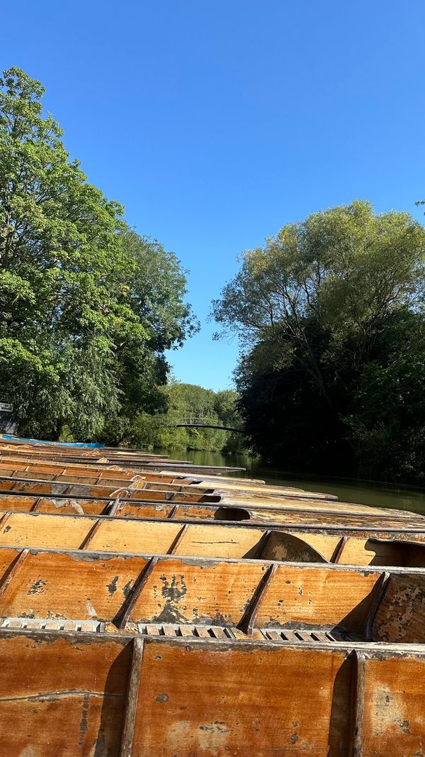 Ein idyllisches Punting-Abenteuer