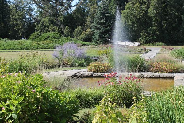 Spaziergang durch botanische Vielfalt