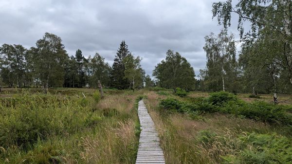 Mystische Pfade und historische Schätze am Eifelsteig