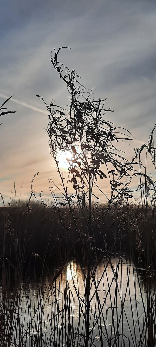 Erkunde unberührte Naturreservate