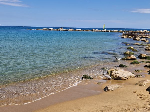 Genieße Sonne und Meer am Stadtstrand