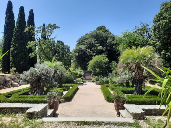 Historischer Botanischer Garten