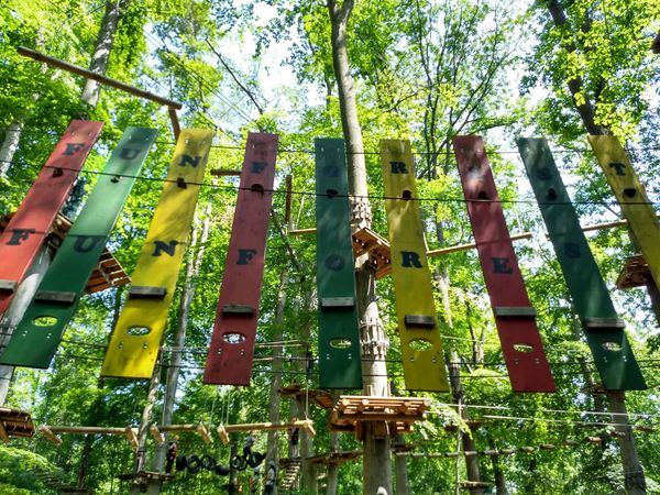 Kletterspaß von Baum zu Baum