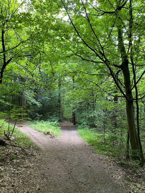 Naturparadies für Entspannung und Abenteuer