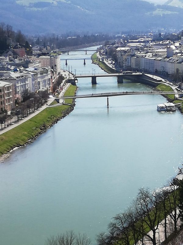 Grüne Oase über den Dächern von Salzburg