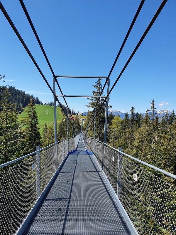 Schwindelerregende Höhen auf dem Skywalk