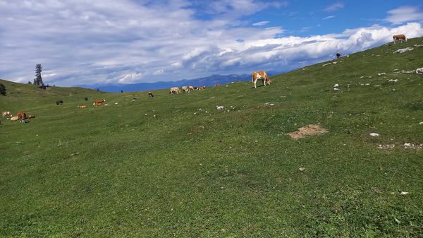 Atemberaubende Aussichten genießen