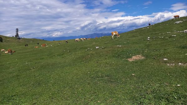 Atemberaubende Aussichten genießen