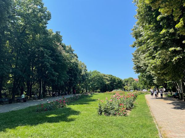 Entspannung am See in der Stadt