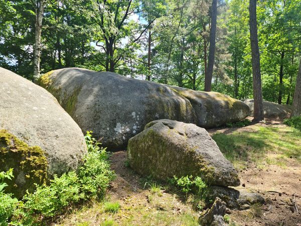 Wandern und Entspannen in der mystischen Blockheide