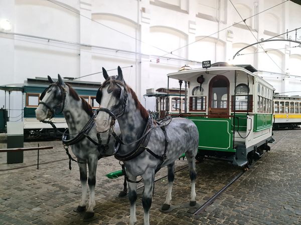 Zeitreise in Portos Straßenbahn-Geschichte