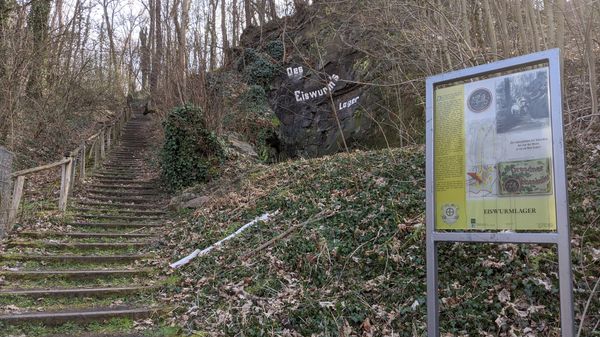 Auf Drachenjagd im Stadtgebiet