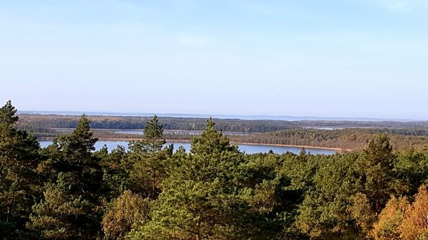 Abenteuer in Deutschlands Wildnis