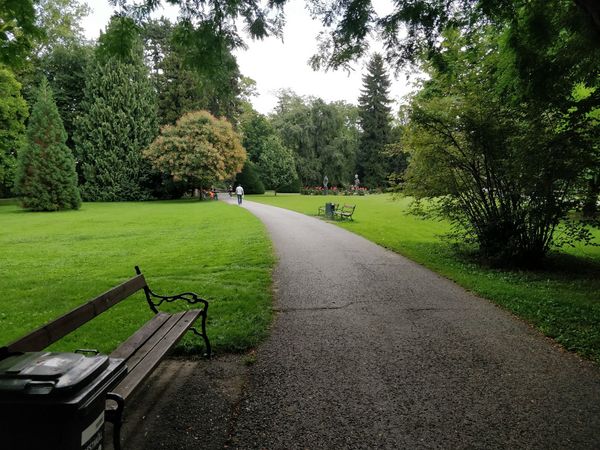 Grüne Oase in der Stadtmitte