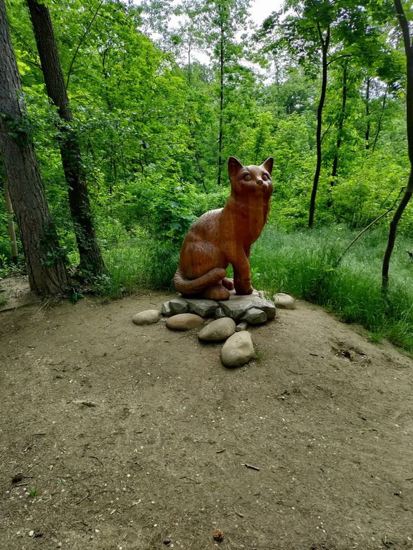 Abenteuer im Grünen: Spiel und Spaß auf dem Wald- und Erlebnispfad