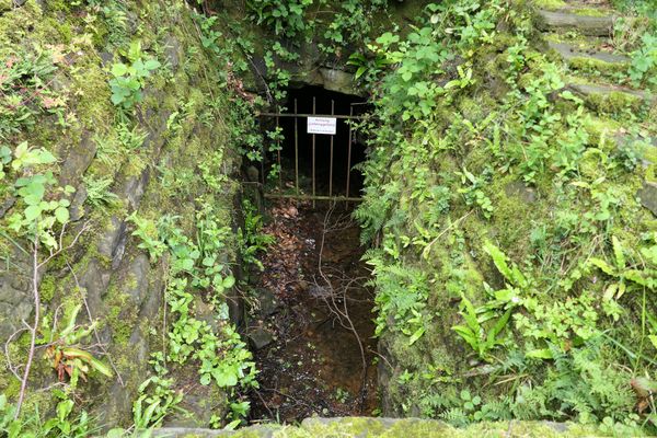 Auf den Spuren der Kohleförderung wandeln