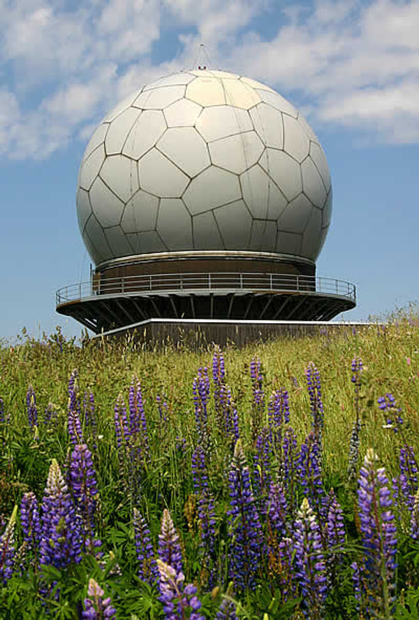 Natur pur auf dem Premiumweg
