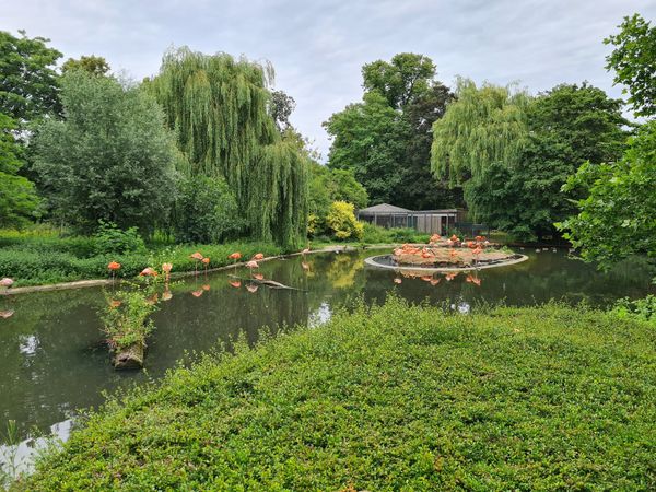 Ein Streichelzoo in Krefeld