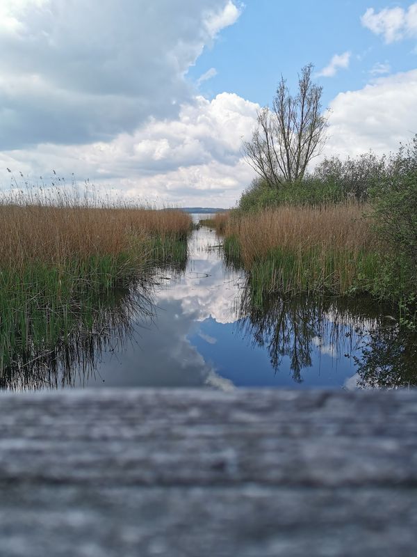 Erkunde die einzigartige Natur nahe Scharbeutz