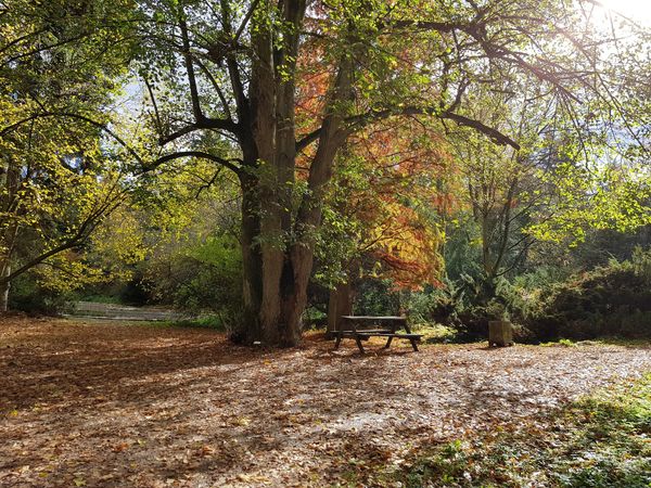 Entspannung pur im botanischen Garten