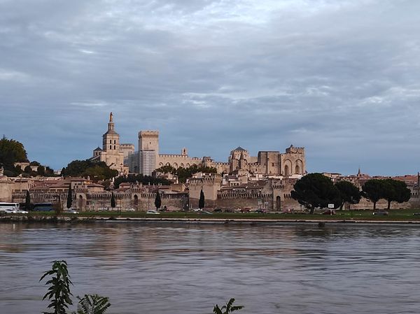 Aussicht auf Avignon genießen