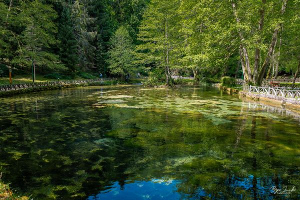 Frische Luft und Natur pur