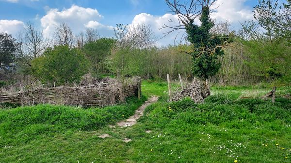 Wanderung durch uralten Wald