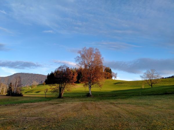 Geführte Naturtouren in einzigartiger Umgebung