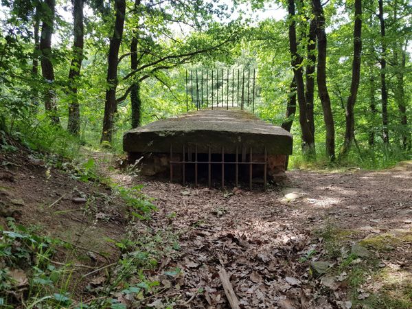 Historische Einblicke in das römische Erbe Pulheims