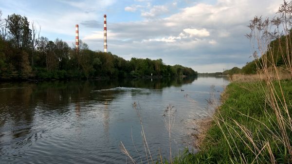 Erkunde die atemberaubenden Donauauen