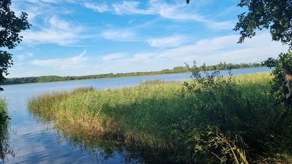 Abenteuer und Entspannung am Inselsee