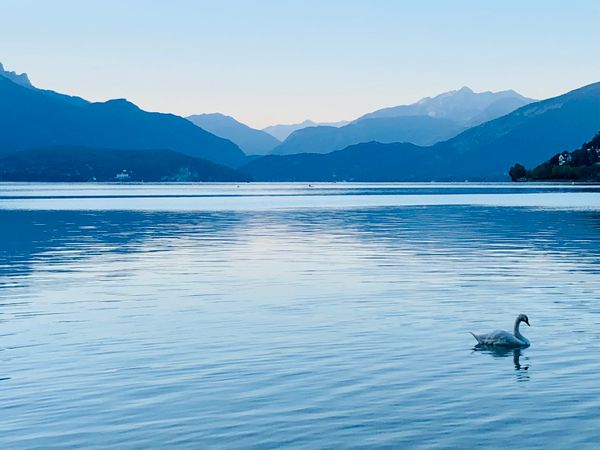 Erkunde den See auf zwei Rädern