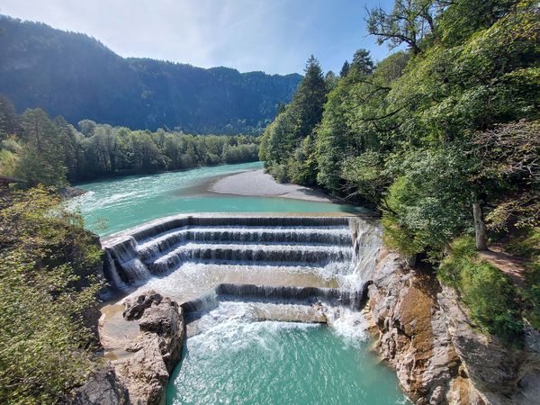 Abenteuer hoch in den Baumwipfeln