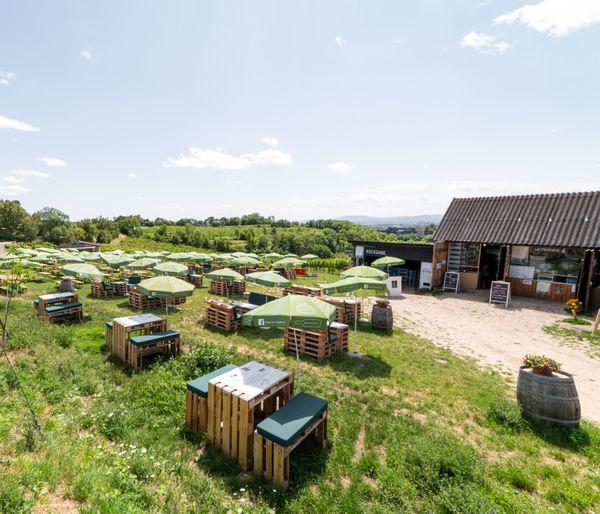 Wiener Weinidylle mit atemberaubendem Panorama