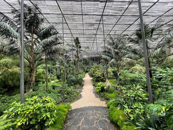 Oase der Ruhe und tropischer Pflanzen