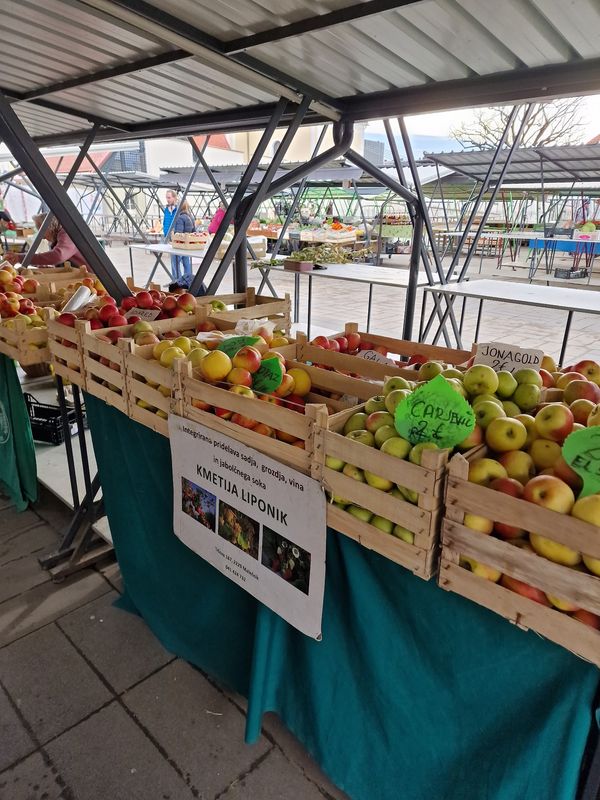 Frisches vom Markt: Ein Rendezvous mit lokalen Spezialitäten