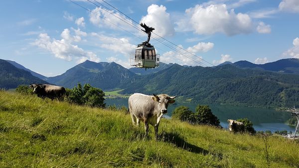 Atemberaubende Aussicht auf 1061m Höhe genießen