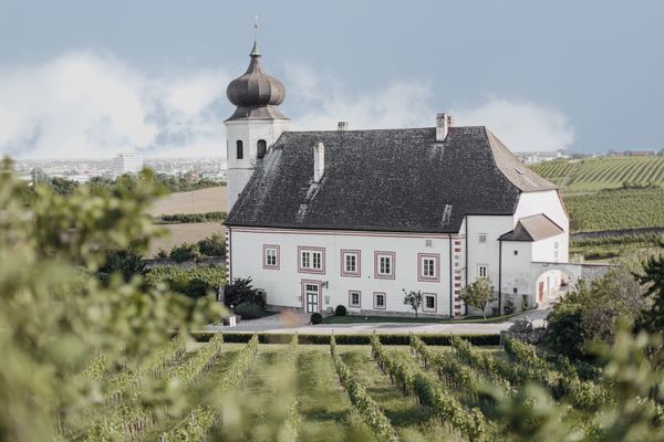 Weinverkostung im historischen Weingut