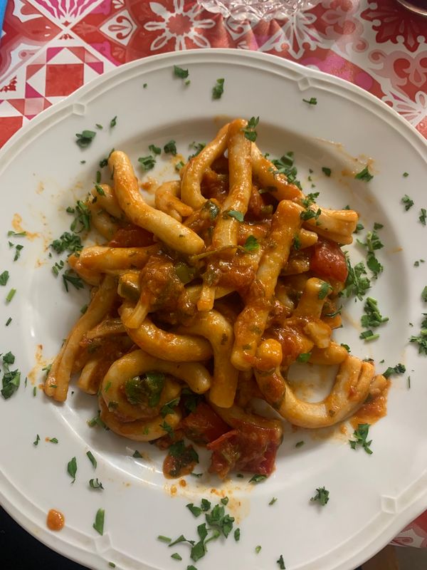 Authentische Pasta alla Norma schlemmen